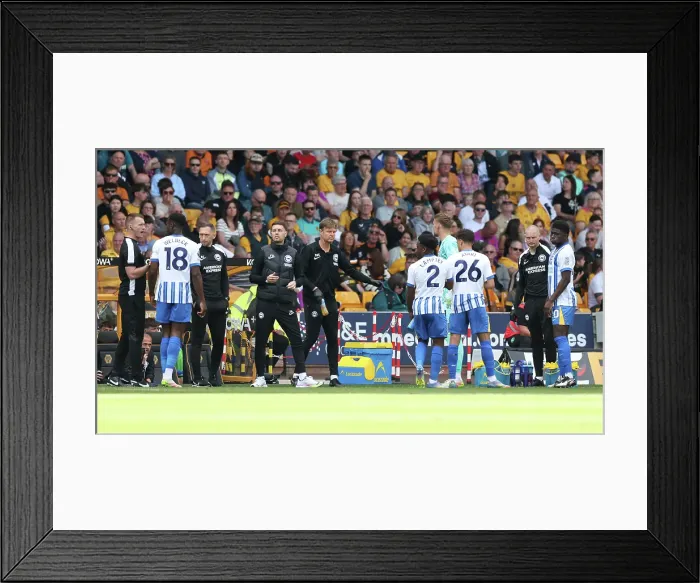 Framed Print : Wolverhampton Wanderers v Brighton and Hove Albion Premier League 10MAY25 Framed Print : Wolverhampton Wanderers v Brighton and Hove Albion Premier League 10MAY25