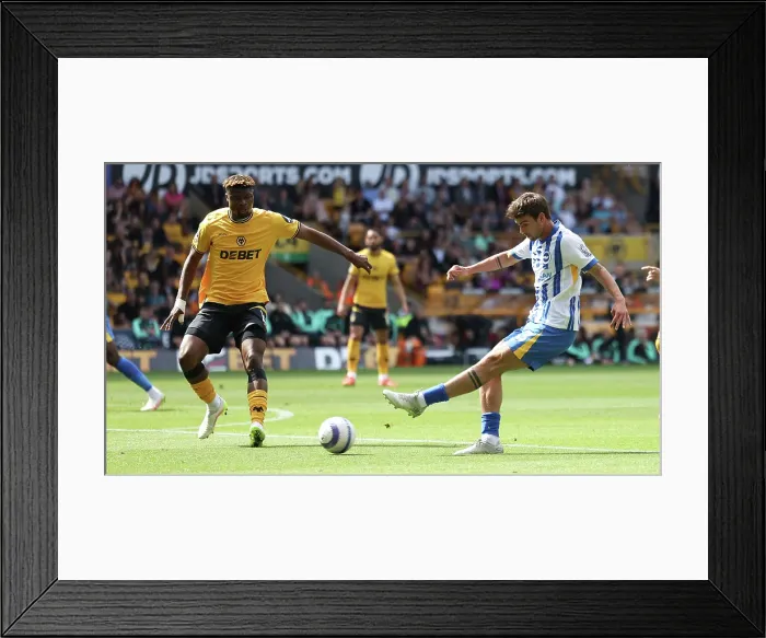 Framed Print : Wolverhampton Wanderers v Brighton and Hove Albion Premier League 10MAY25