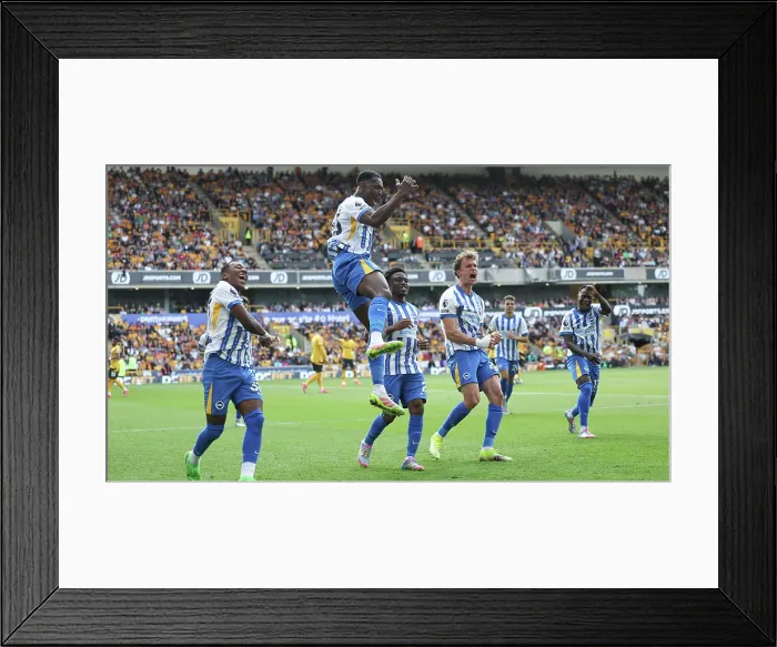 Framed Print : Wolverhampton Wanderers v Brighton and Hove Albion Premier League 10MAY25 Framed Print : Wolverhampton Wanderers v Brighton and Hove Albion Premier League 10MAY25