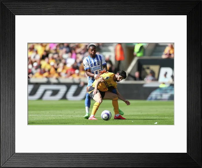 Framed Print : Wolverhampton Wanderers v Brighton and Hove Albion Premier League 10MAY25