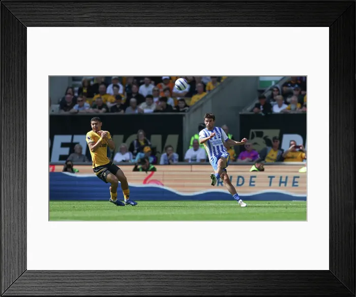 Framed Print : Wolverhampton Wanderers v Brighton and Hove Albion Premier League 10MAY25