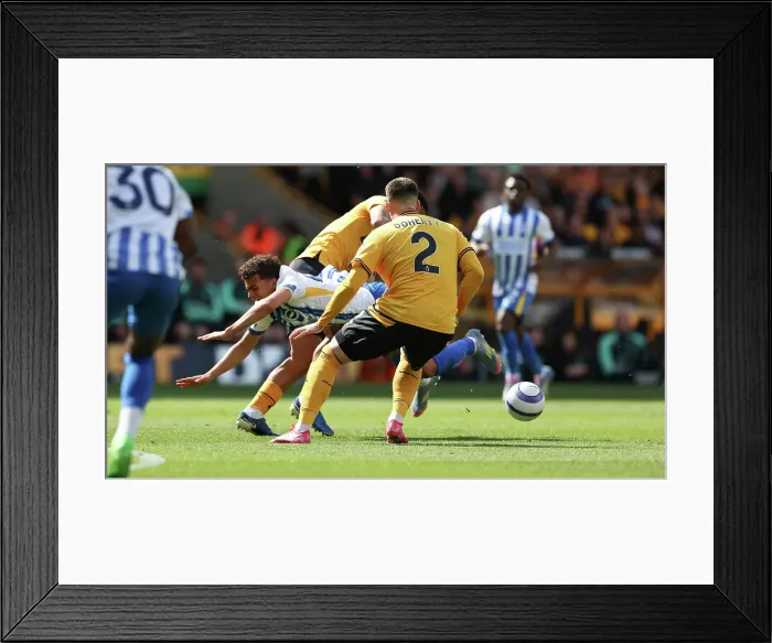 Framed Print : Wolverhampton Wanderers v Brighton and Hove Albion Premier League 10MAY25