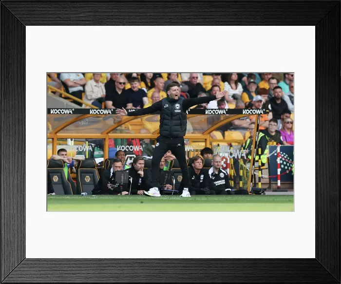 Framed Print : Wolverhampton Wanderers v Brighton and Hove Albion Premier League 10MAY25 Framed Print : Wolverhampton Wanderers v Brighton and Hove Albion Premier League 10MAY25