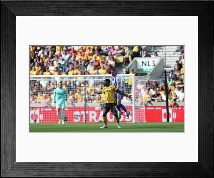 Framed Print : Wolverhampton Wanderers v Brighton and Hove Albion Premier League 10MAY25 Framed Print : Wolverhampton Wanderers v Brighton and Hove Albion Premier League 10MAY25