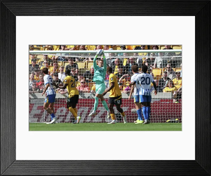 Framed Print : Wolverhampton Wanderers v Brighton and Hove Albion Premier League 10MAY25 Framed Print : Wolverhampton Wanderers v Brighton and Hove Albion Premier League 10MAY25