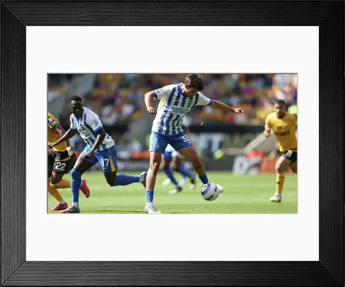 Framed Print : Wolverhampton Wanderers v Brighton and Hove Albion Premier League 10MAY25