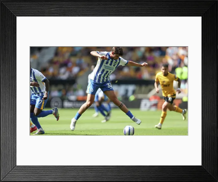 Framed Print : Wolverhampton Wanderers v Brighton and Hove Albion Premier League 10MAY25