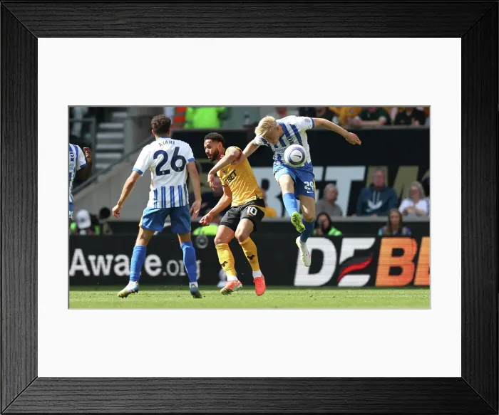 Framed Print : Wolverhampton Wanderers v Brighton and Hove Albion Premier League 10MAY25 Framed Print : Wolverhampton Wanderers v Brighton and Hove Albion Premier League 10MAY25