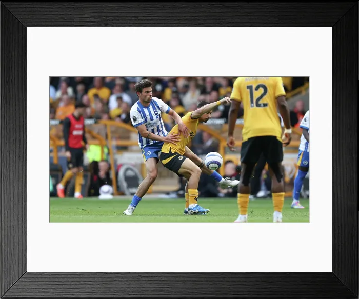 Framed Print : Wolverhampton Wanderers v Brighton and Hove Albion Premier League 10MAY25 Framed Print : Wolverhampton Wanderers v Brighton and Hove Albion Premier League 10MAY25