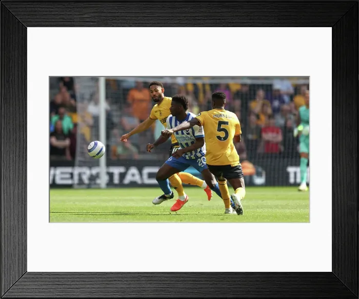Framed Print : Wolverhampton Wanderers v Brighton and Hove Albion Premier League 10MAY25 Framed Print : Wolverhampton Wanderers v Brighton and Hove Albion Premier League 10MAY25