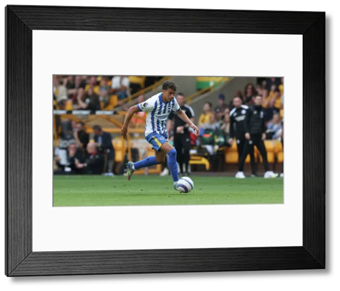 Framed Print : Wolverhampton Wanderers v Brighton and Hove Albion Premier League 10MAY25 Framed Print : Wolverhampton Wanderers v Brighton and Hove Albion Premier League 10MAY25