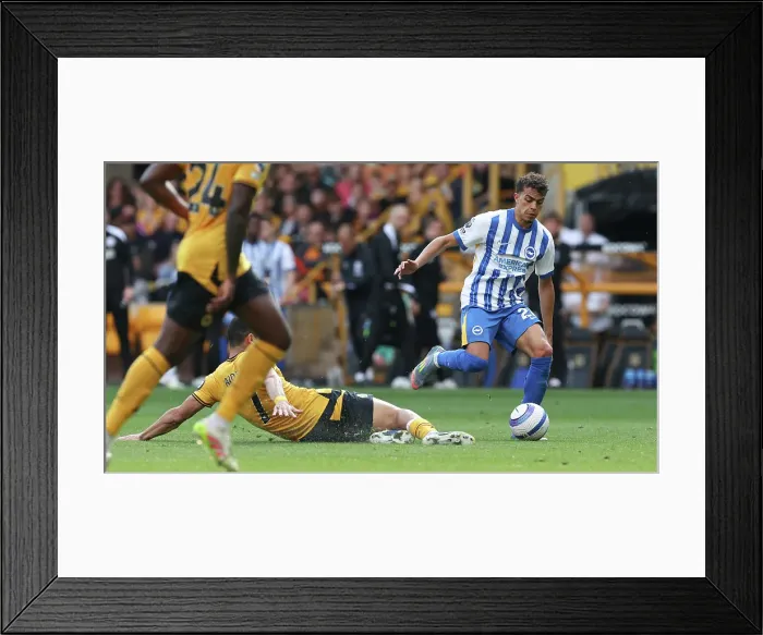 Framed Print : Wolverhampton Wanderers v Brighton and Hove Albion Premier League 10MAY25