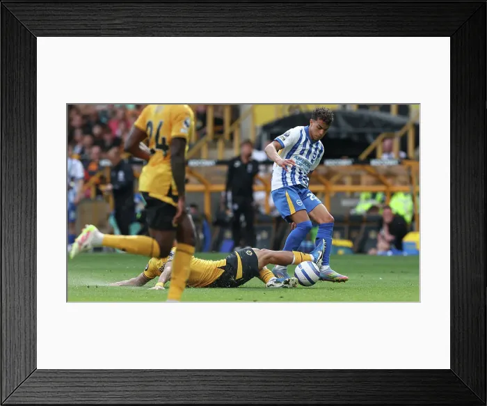 Framed Print : Wolverhampton Wanderers v Brighton and Hove Albion Premier League 10MAY25
