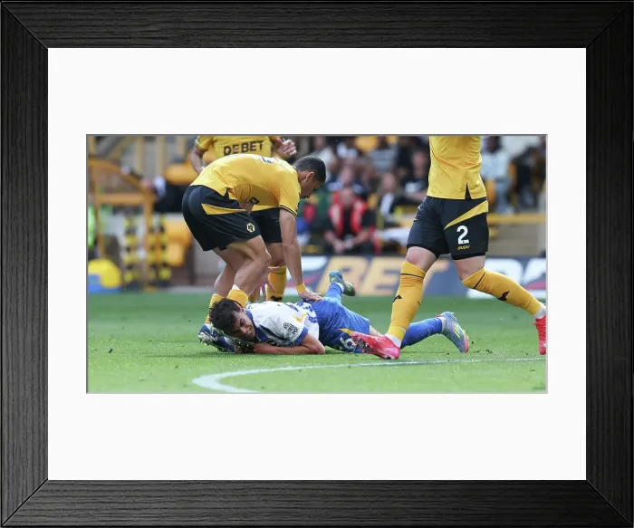 Framed Print : Wolverhampton Wanderers v Brighton and Hove Albion Premier League 10MAY25