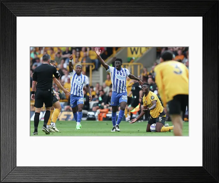 Framed Print : Wolverhampton Wanderers v Brighton and Hove Albion Premier League 10MAY25 Framed Print : Wolverhampton Wanderers v Brighton and Hove Albion Premier League 10MAY25
