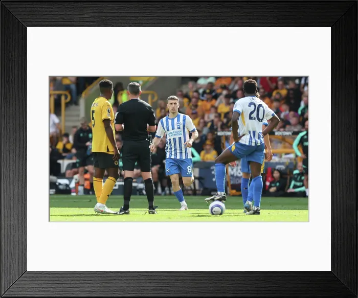Framed Print : Wolverhampton Wanderers v Brighton and Hove Albion Premier League 10MAY25 Framed Print : Wolverhampton Wanderers v Brighton and Hove Albion Premier League 10MAY25