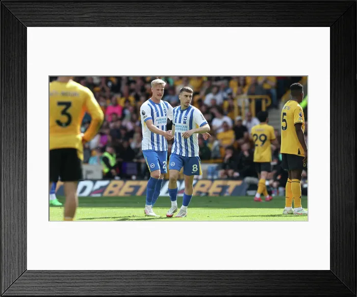 Framed Print : Wolverhampton Wanderers v Brighton and Hove Albion Premier League 10MAY25 Framed Print : Wolverhampton Wanderers v Brighton and Hove Albion Premier League 10MAY25