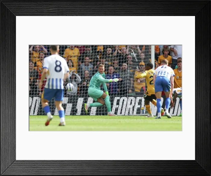 Framed Print : Wolverhampton Wanderers v Brighton and Hove Albion Premier League 10MAY25 Framed Print : Wolverhampton Wanderers v Brighton and Hove Albion Premier League 10MAY25