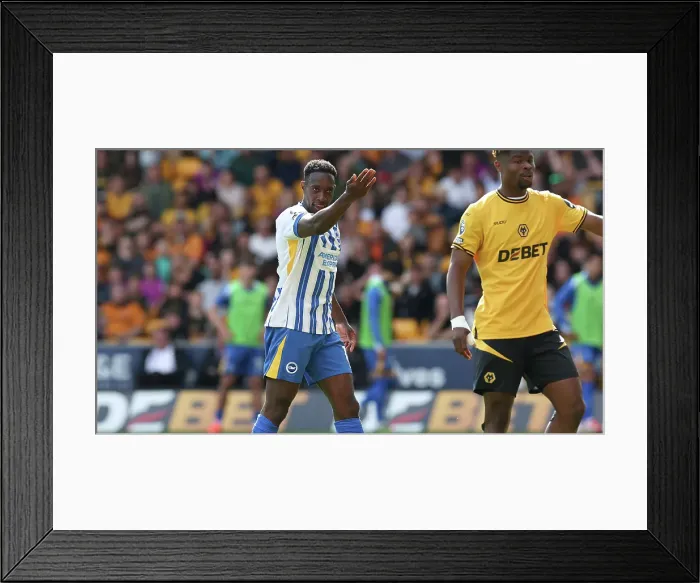 Framed Print : Wolverhampton Wanderers v Brighton and Hove Albion Premier League 10MAY25 Framed Print : Wolverhampton Wanderers v Brighton and Hove Albion Premier League 10MAY25