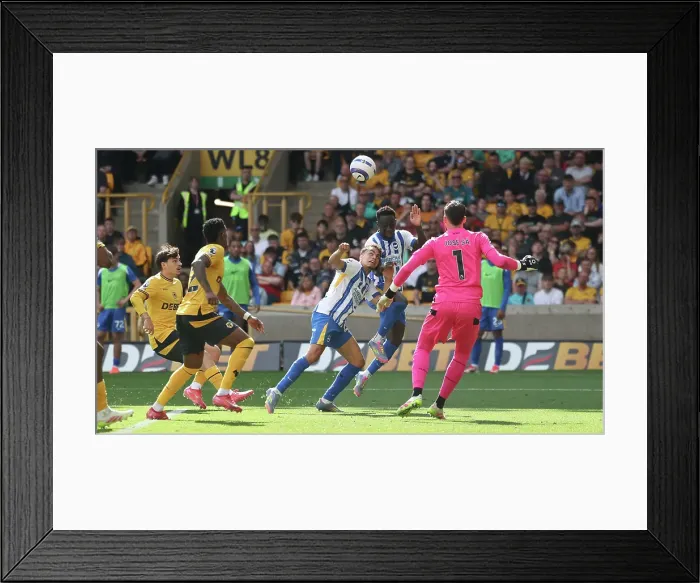 Framed Print : Wolverhampton Wanderers v Brighton and Hove Albion Premier League 10MAY25 Framed Print : Wolverhampton Wanderers v Brighton and Hove Albion Premier League 10MAY25