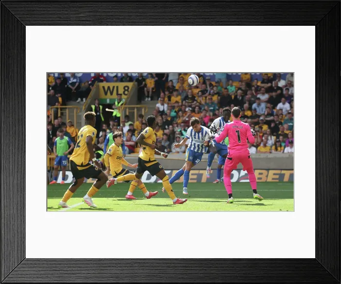 Framed Print : Wolverhampton Wanderers v Brighton and Hove Albion Premier League 10MAY25 Framed Print : Wolverhampton Wanderers v Brighton and Hove Albion Premier League 10MAY25