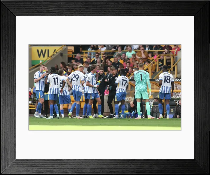 Framed Print : Wolverhampton Wanderers v Brighton and Hove Albion Premier League 10MAY25 Framed Print : Wolverhampton Wanderers v Brighton and Hove Albion Premier League 10MAY25
