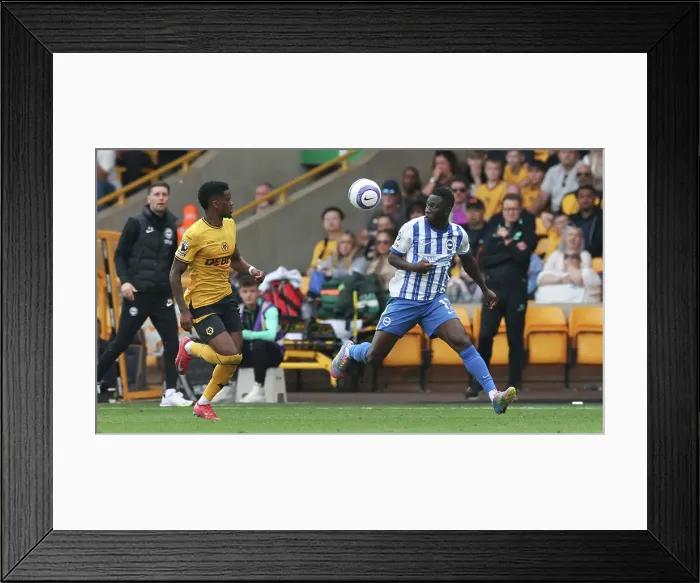 Framed Print : Wolverhampton Wanderers v Brighton and Hove Albion Premier League 10MAY25 Framed Print : Wolverhampton Wanderers v Brighton and Hove Albion Premier League 10MAY25