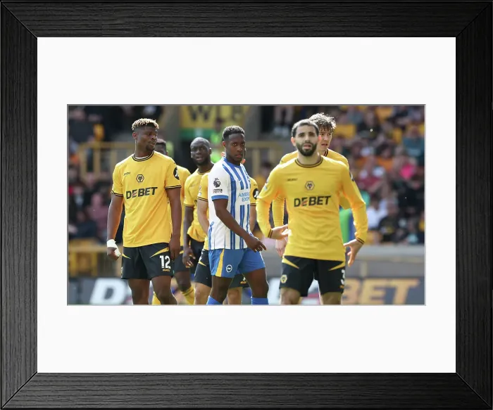 Framed Print : Wolverhampton Wanderers v Brighton and Hove Albion Premier League 10MAY25 Framed Print : Wolverhampton Wanderers v Brighton and Hove Albion Premier League 10MAY25