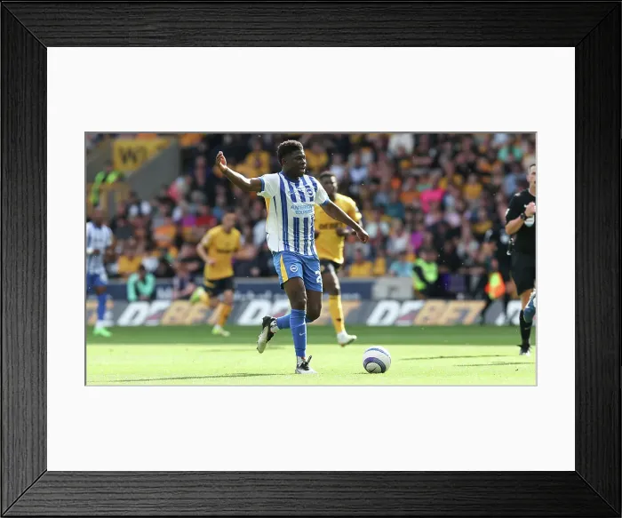 Framed Print : Wolverhampton Wanderers v Brighton and Hove Albion Premier League 10MAY25 Framed Print : Wolverhampton Wanderers v Brighton and Hove Albion Premier League 10MAY25