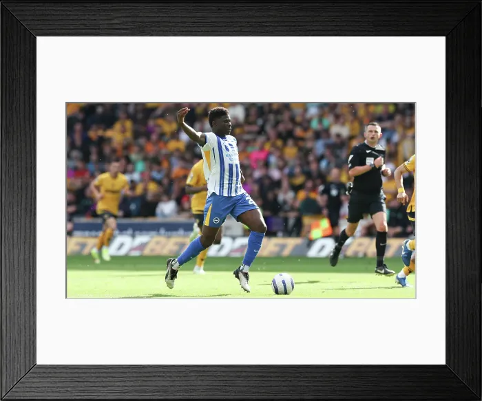 Framed Print : Wolverhampton Wanderers v Brighton and Hove Albion Premier League 10MAY25 Framed Print : Wolverhampton Wanderers v Brighton and Hove Albion Premier League 10MAY25