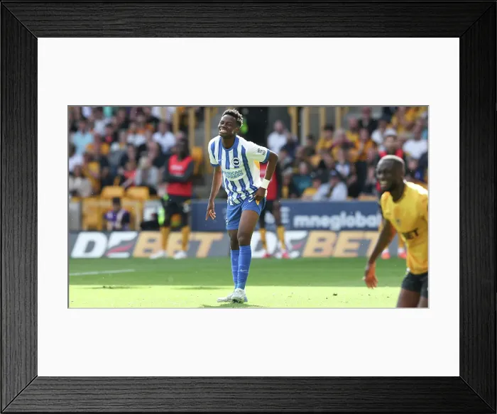 Framed Print : Wolverhampton Wanderers v Brighton and Hove Albion Premier League 10MAY25