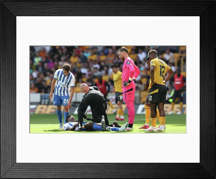 Framed Print : Wolverhampton Wanderers v Brighton and Hove Albion Premier League 10MAY25