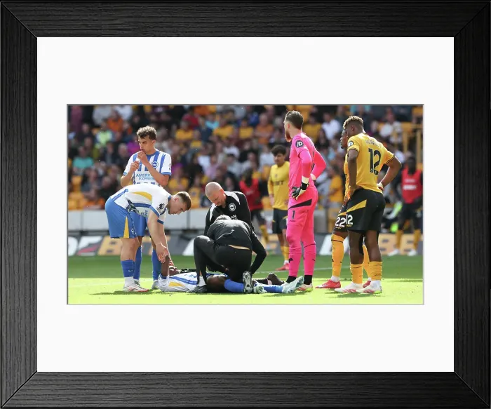 Framed Print : Wolverhampton Wanderers v Brighton and Hove Albion Premier League 10MAY25