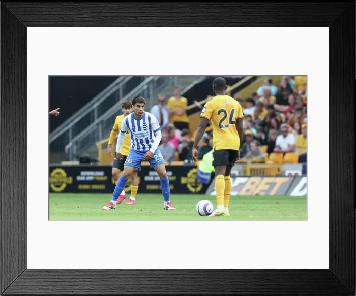 Framed Print : Wolverhampton Wanderers v Brighton and Hove Albion Premier League 10MAY25 Framed Print : Wolverhampton Wanderers v Brighton and Hove Albion Premier League 10MAY25