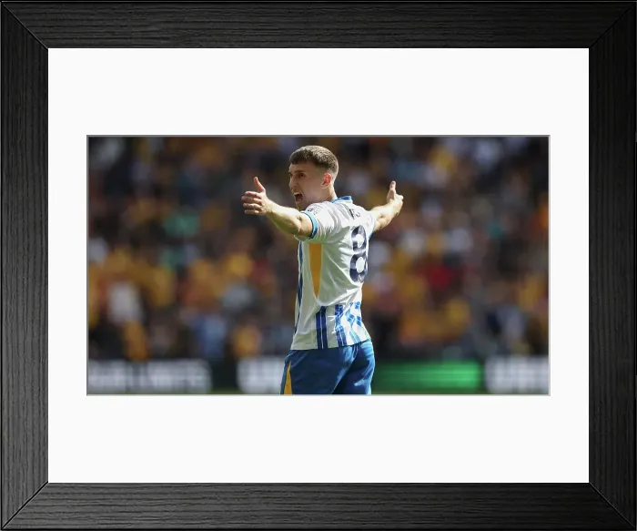 Framed Print : Wolverhampton Wanderers v Brighton and Hove Albion Premier League 10MAY25 Framed Print : Wolverhampton Wanderers v Brighton and Hove Albion Premier League 10MAY25