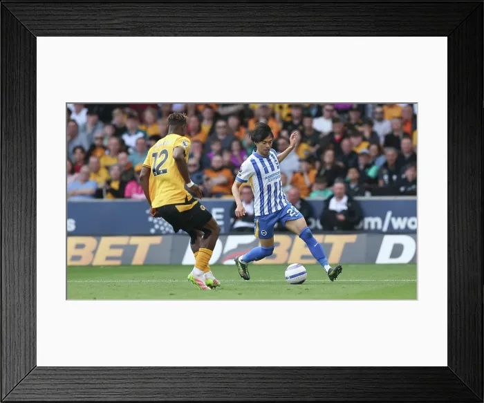 Framed Print : Wolverhampton Wanderers v Brighton and Hove Albion Premier League 10MAY25 Framed Print : Wolverhampton Wanderers v Brighton and Hove Albion Premier League 10MAY25