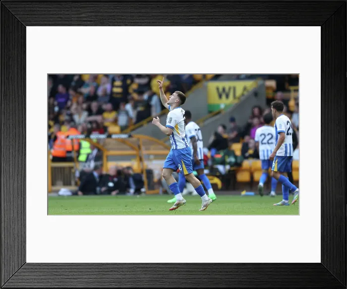Framed Print : Wolverhampton Wanderers v Brighton and Hove Albion Premier League 10MAY25 Framed Print : Wolverhampton Wanderers v Brighton and Hove Albion Premier League 10MAY25