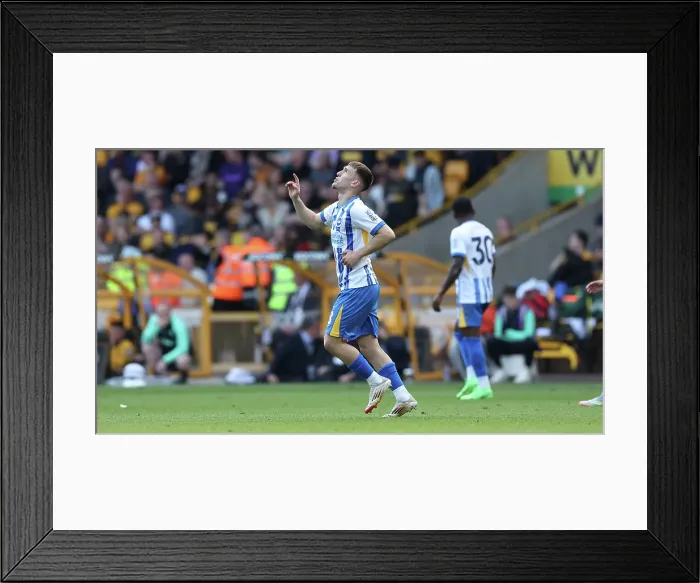 Framed Print : Wolverhampton Wanderers v Brighton and Hove Albion Premier League 10MAY25 Framed Print : Wolverhampton Wanderers v Brighton and Hove Albion Premier League 10MAY25