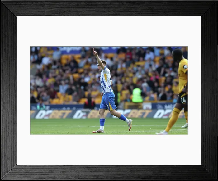 Framed Print : Wolverhampton Wanderers v Brighton and Hove Albion Premier League 10MAY25 Framed Print : Wolverhampton Wanderers v Brighton and Hove Albion Premier League 10MAY25