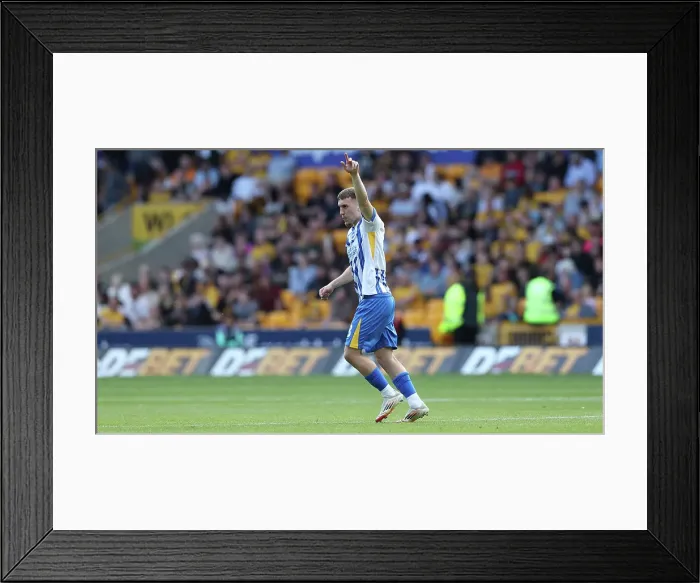 Framed Print : Wolverhampton Wanderers v Brighton and Hove Albion Premier League 10MAY25 Framed Print : Wolverhampton Wanderers v Brighton and Hove Albion Premier League 10MAY25