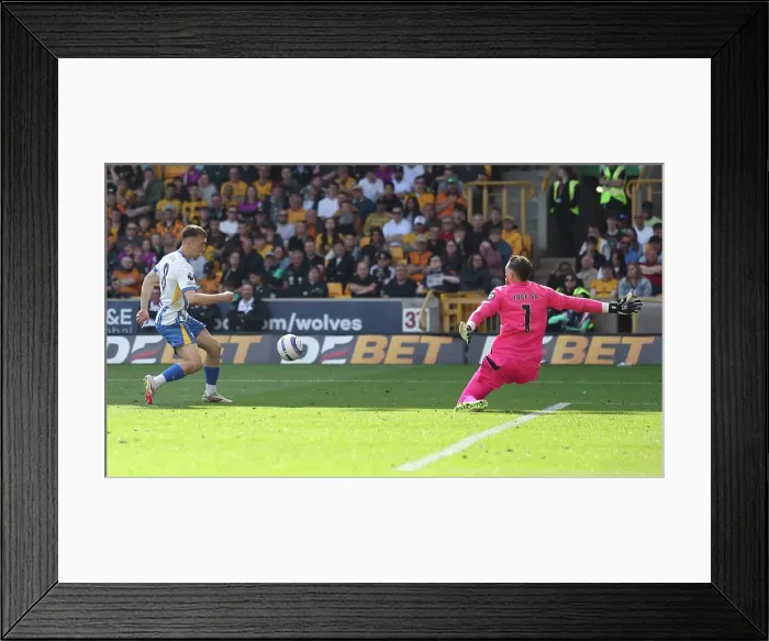 Framed Print : Wolverhampton Wanderers v Brighton and Hove Albion Premier League 10MAY25 Framed Print : Wolverhampton Wanderers v Brighton and Hove Albion Premier League 10MAY25