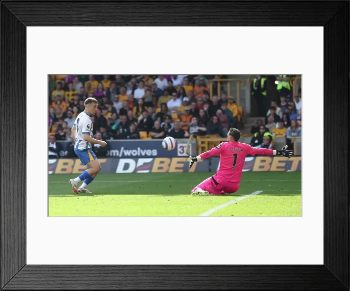 Framed Print : Wolverhampton Wanderers v Brighton and Hove Albion Premier League 10MAY25 Framed Print : Wolverhampton Wanderers v Brighton and Hove Albion Premier League 10MAY25