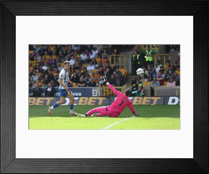 Framed Print : Wolverhampton Wanderers v Brighton and Hove Albion Premier League 10MAY25 Framed Print : Wolverhampton Wanderers v Brighton and Hove Albion Premier League 10MAY25