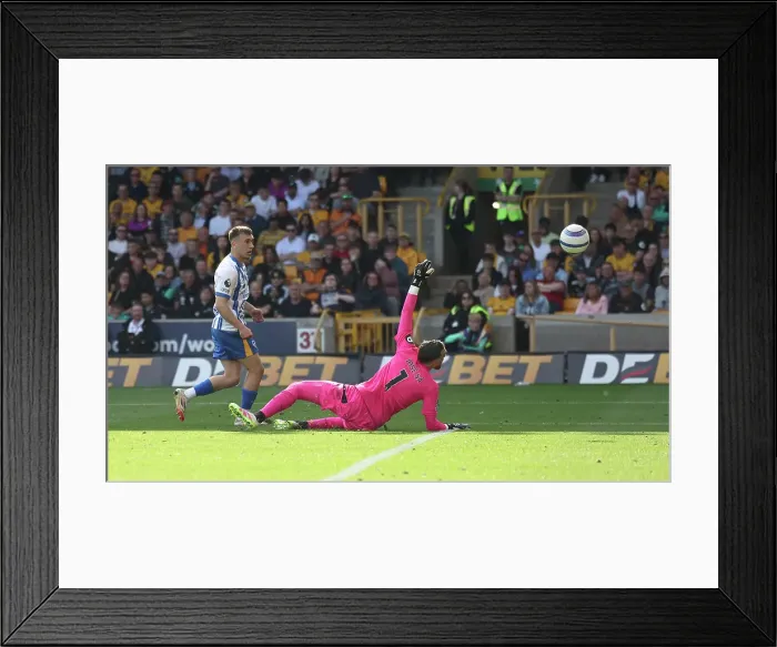 Framed Print : Wolverhampton Wanderers v Brighton and Hove Albion Premier League 10MAY25 Framed Print : Wolverhampton Wanderers v Brighton and Hove Albion Premier League 10MAY25
