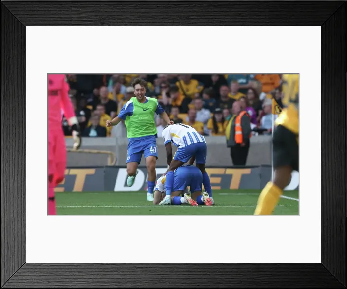 Framed Print : Wolverhampton Wanderers v Brighton and Hove Albion Premier League 10MAY25 Framed Print : Wolverhampton Wanderers v Brighton and Hove Albion Premier League 10MAY25