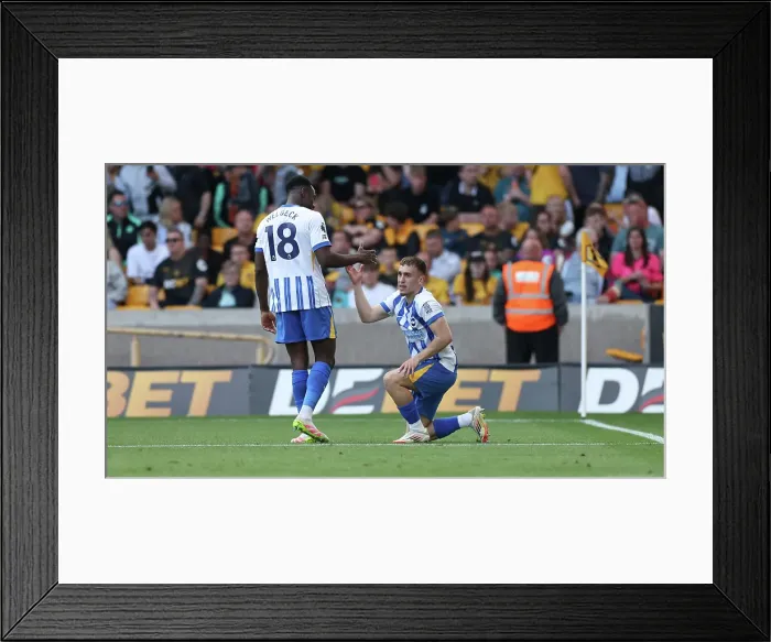Framed Print : Wolverhampton Wanderers v Brighton and Hove Albion Premier League 10MAY25 Framed Print : Wolverhampton Wanderers v Brighton and Hove Albion Premier League 10MAY25