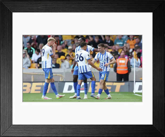 Framed Print : Wolverhampton Wanderers v Brighton and Hove Albion Premier League 10MAY25 Framed Print : Wolverhampton Wanderers v Brighton and Hove Albion Premier League 10MAY25