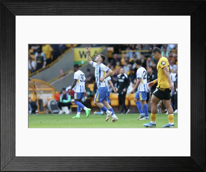 Framed Print : Wolverhampton Wanderers v Brighton and Hove Albion Premier League 10MAY25 Framed Print : Wolverhampton Wanderers v Brighton and Hove Albion Premier League 10MAY25