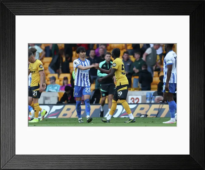 Framed Print : Wolverhampton Wanderers v Brighton and Hove Albion Premier League 10MAY25 Framed Print : Wolverhampton Wanderers v Brighton and Hove Albion Premier League 10MAY25