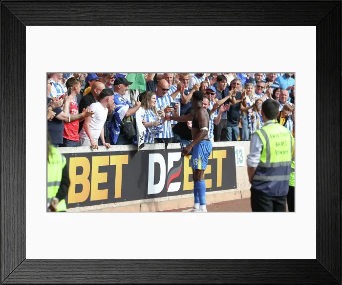 Framed Print : Wolverhampton Wanderers v Brighton and Hove Albion Premier League 10MAY25